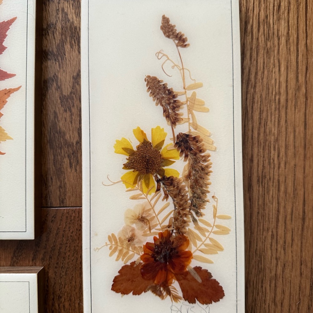 Vintage Henni original set of 3 handmade pressed flowers wall art pictures - Picture 4 of 10
